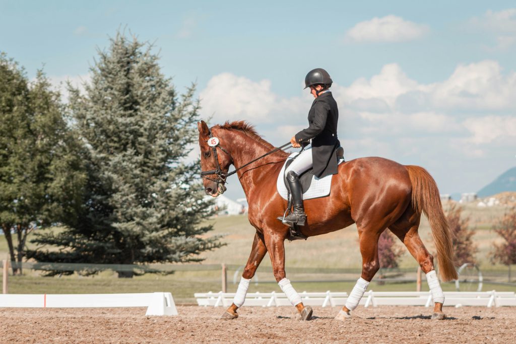 equestrian properties