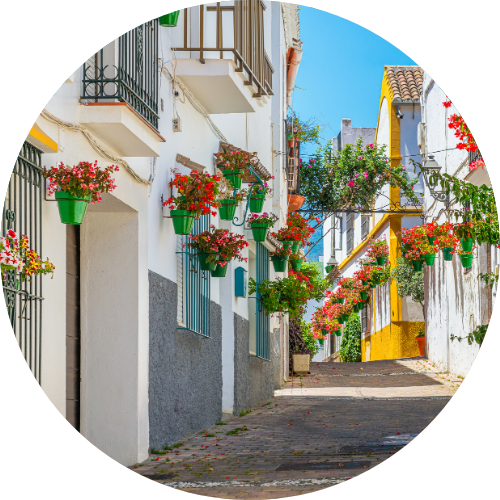 icon showcasing the flower city of estepona
